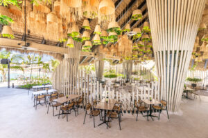 Bamboorant5